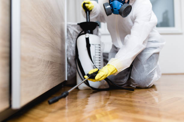 Best Exterminator Services  in Lakeport, TX