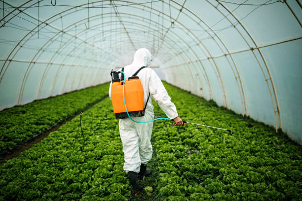 Trusted Lakeport, TX Pest Control Experts